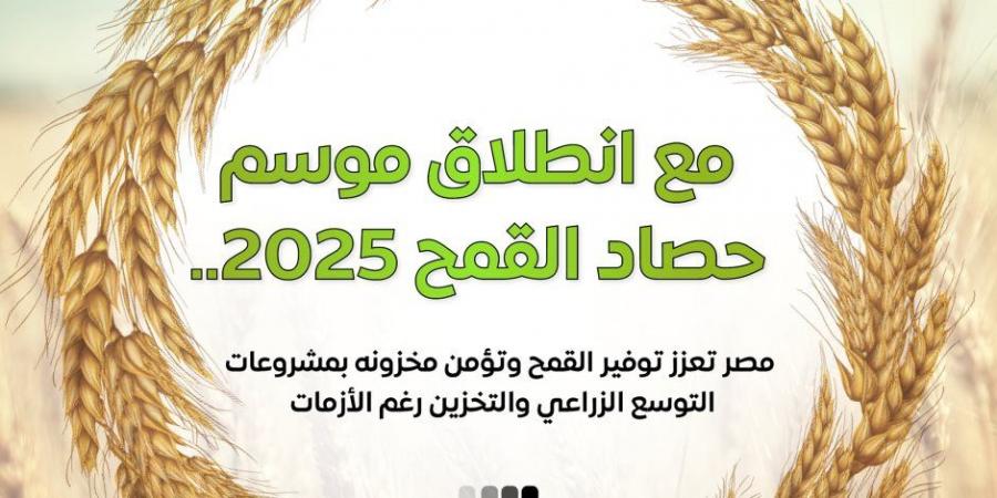 إعلام الوزراء: 3.1 مليون فدان قمح وأصناف جديدة عالية الإنتاجية ودعم غير مسبوق للمزارعين في موسم توريد 2025 - تكنو بلس