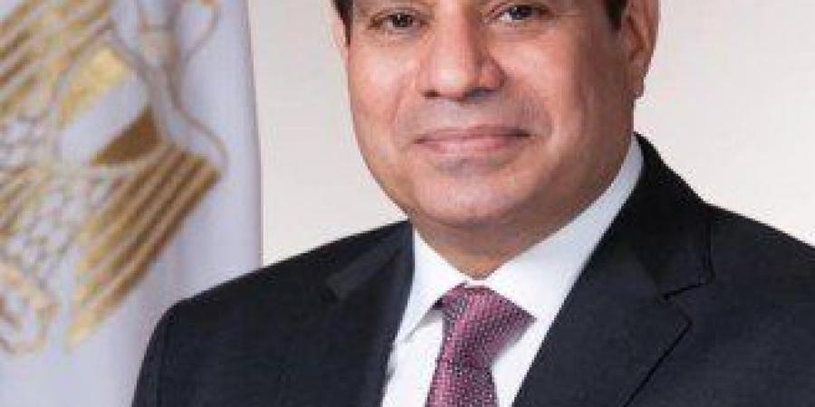 الرئيس المصري يبحث مع نائب رئيس الوزراء العراقي الأوضاع في فلسطين وسوريا - تكنو بلس