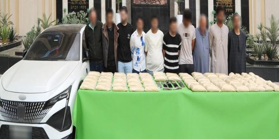 الداخلية تضبط العصابات المتورطة في جلب الحشيش الاصطناعي - تكنو بلس