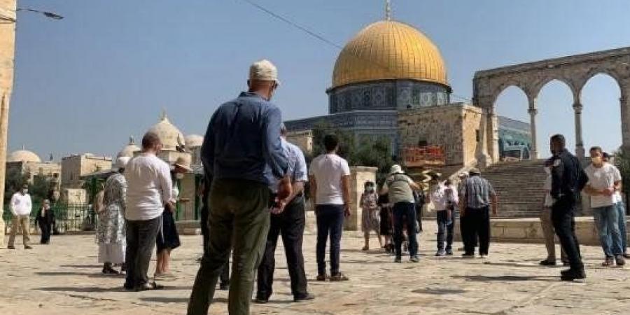 مستعمرون يقتحمون المسجد الأقصى بحماية شرطة الاحتلال الإسرائيلي - تكنو بلس