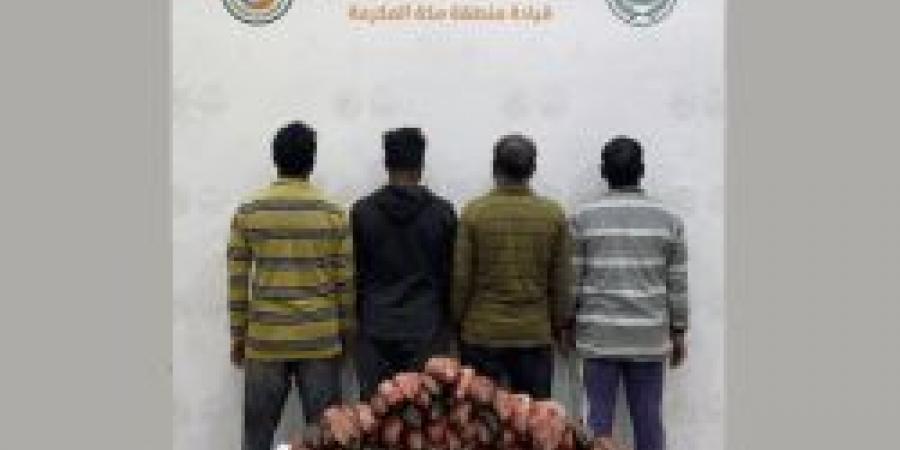ضبط أربعة مخالفين لأنظمة الصيد البحري في الليث - تكنو بلس