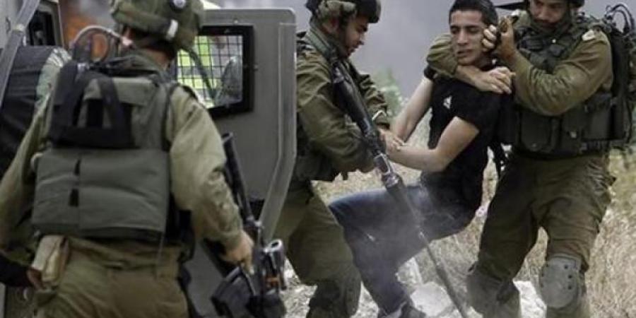 قوات الاحتلال تعتقل ما لا يقل عن 11 فلسطينيا من الضفة الغربية - تكنو بلس