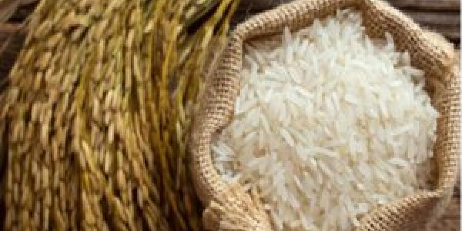 "تجارة الأردن": النزاع بين الهند وباكستان لن يؤثر على استيراد الأردن للأرز البسمتي - تكنو بلس