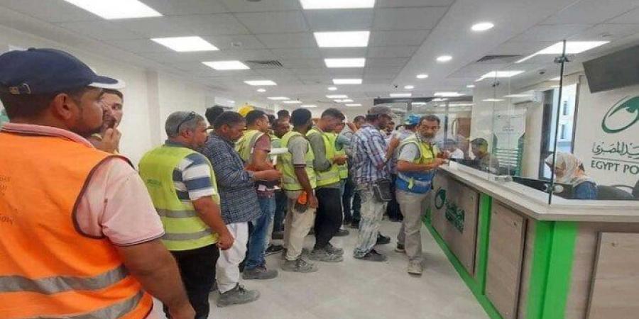 استعلام عن منحة العمالة غير المنتظمة بالرقم القومي 2025.. رابط وزارة القوى العاملة - تكنو بلس