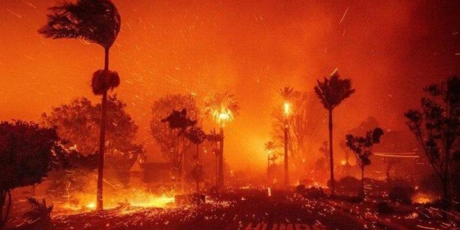 على مدار 15 عامًا.. دخان حرائق الغابات يتسبب في وفاة الآلاف بالولايات المتحدة - تكنو بلس