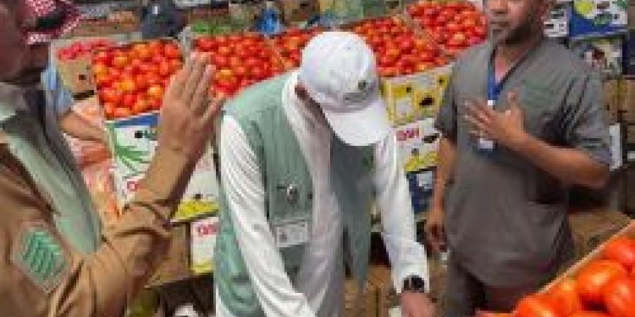 "بيئة مكة" ولجنة التوطين يكثّفون الجولات الرقابية لضبط المخالفات وتعزيز الامتثال - تكنو بلس
