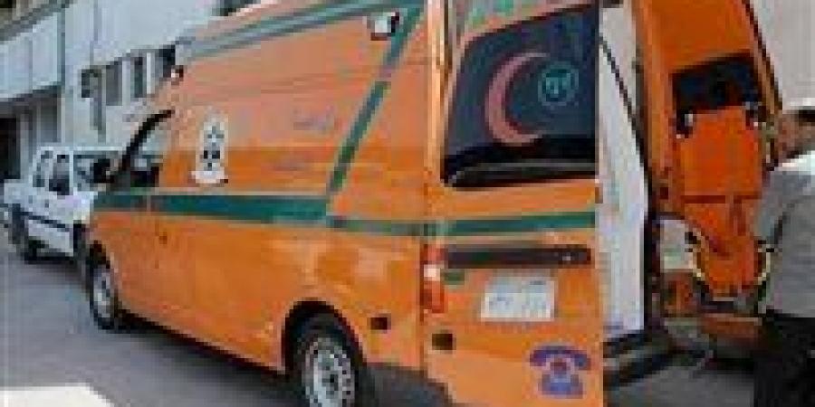 جميعهما من أسيوط وسوهاج.. أسماء مصابي حادث إنقلاب ميكروباص بطريق الواحات في المنيا - تكنو بلس