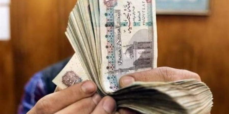 موعد صرف مرتبات شهر مايو 2025 للعاملين بالدولة - تكنو بلس