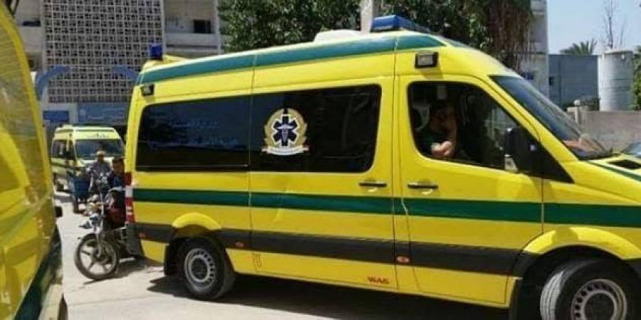 "هزارأسود" يؤدي بحياة شاب في الإسماعيلية - تكنو بلس