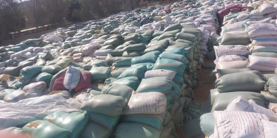 محافظ أسيوط: ارتفاع كميات القمح المحلي الموردة للشون والصوامع - تكنو بلس