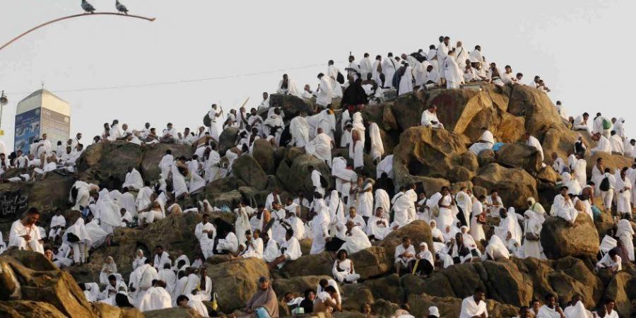 الصحة: فحص وتسلم شحنة أدوية وتجهيز 29 عيادة بمكة والمدينة لاستقبال الحجاج - تكنو بلس