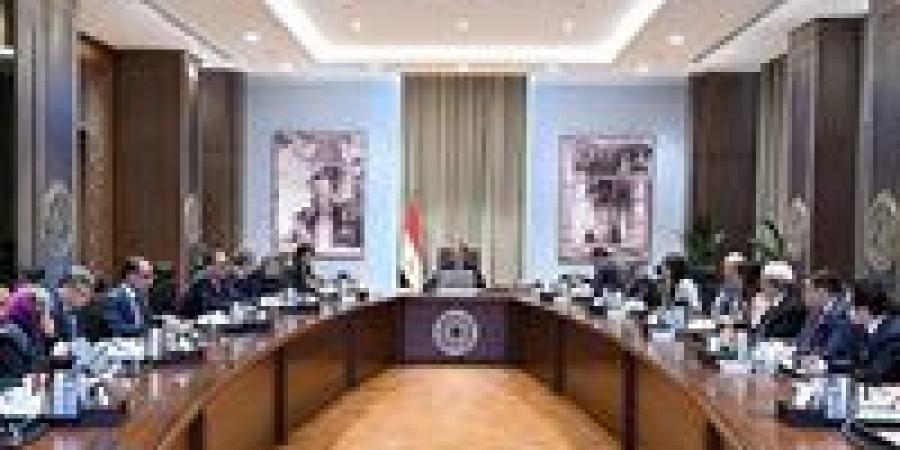 رئيس الوزراء يتابع أعمال اللجنة الخاصة بحوكمة الاستثمارات العامة بالدولة - تكنو بلس