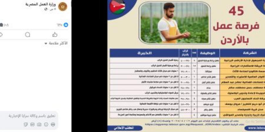 برواتب تصل لـ500 دينار .. القاهرة تعلن توفر وظائف للمصريين في الأردن - تكنو بلس