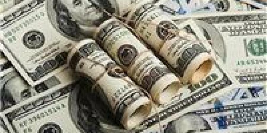 تحويلات المصـريين العاملين بالخارج تسجل قفزة تاريخية إلى 32.6 مليار دولار - تكنو بلس