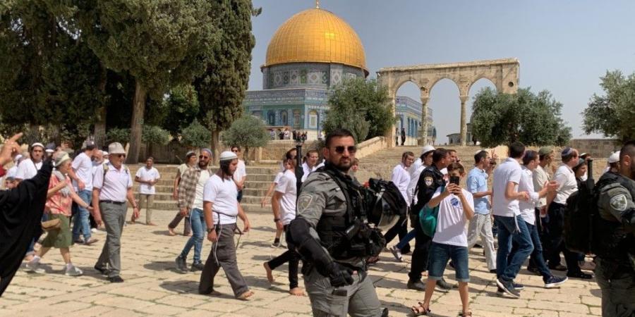 مستوطنون يقتحمون المسجد الأقصى بحماية شرطة الاحتلال الإسرائيلي - تكنو بلس