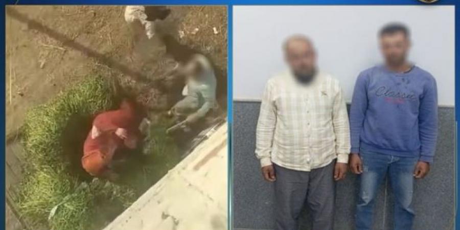 ضبط شخصين تعديا على سيدة بالضرب بالدقهلية بسبب خلاف على أرض زراعية - تكنو بلس