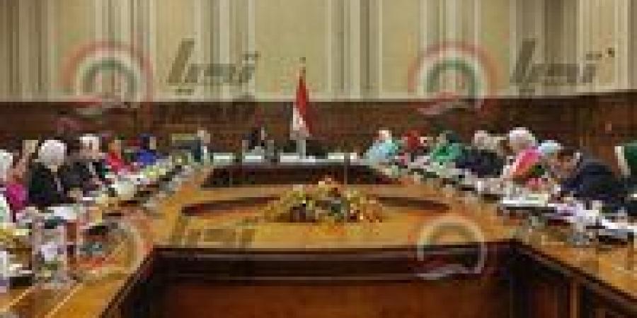 من 3.7 إلى 54 مليار جنيه.. تضامن النواب تقر موازنات المديريات وتطالب بحصر الأصول غير المستغلة - تكنو بلس