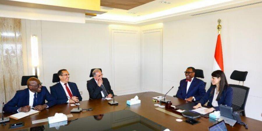 المشاط تستقبل رئيس البنك الأفريقي للتنمية - تكنو بلس