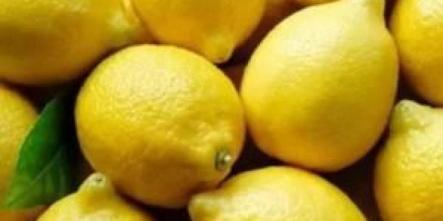 الزراعة توضح آلية منح رخص استيراد الليمون - تكنو بلس