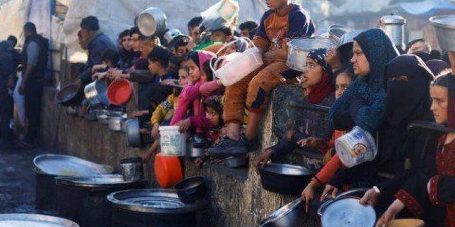 الصحة العالمية: الوضع في غزة كارثي ونصف مليون شخص يواجهون خطر المجاعة - تكنو بلس