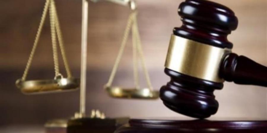 ضوابط ندب الخبراء في القضايا كما نص عليها القانون - تكنو بلس