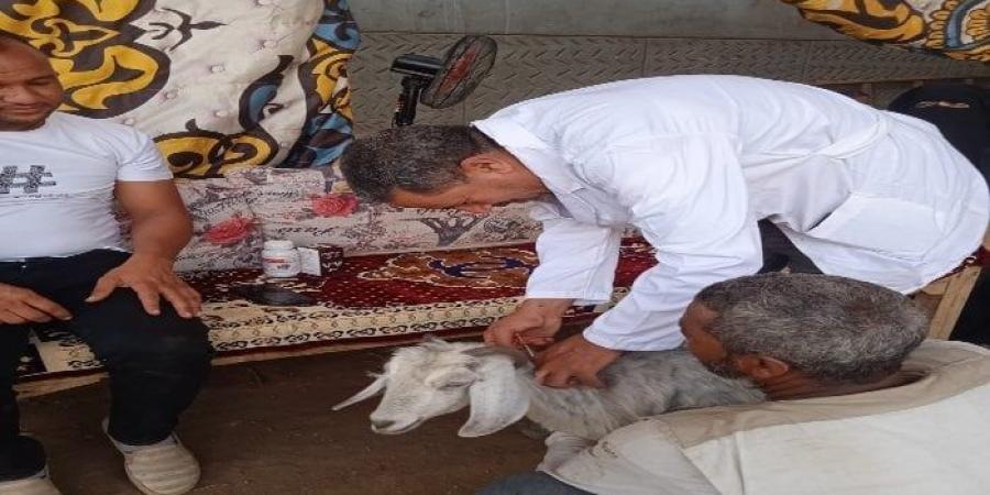 مستقبل وطن ينظم قافلة بيطرية بمركز الوقف لخدمة المزارعين والمربين - تكنو بلس