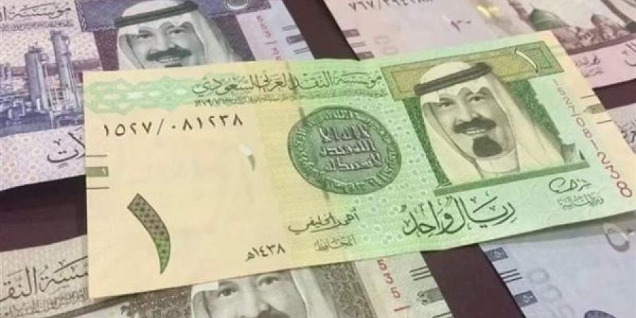 الريال السعودى يسجل 13.43 جنيه فى البنك المركزى المصرى - تكنو بلس