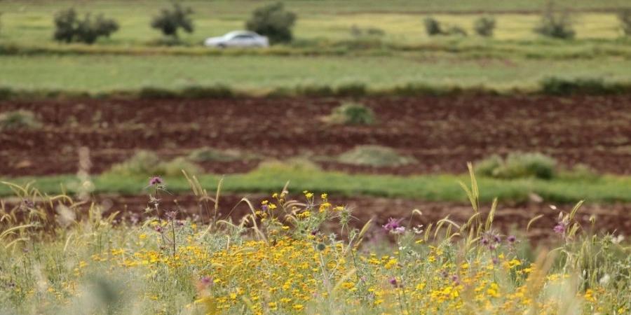 ارتفاع تدريجي في درجات الحرارة وأجواء حارة نهاية الأسبوع - تكنو بلس
