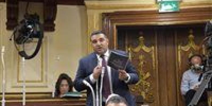 طلب إحاطة للنائب محمود عصام لتشديد الرقابة على شوادر الأضاحي مع اقتراب العيد - تكنو بلس
