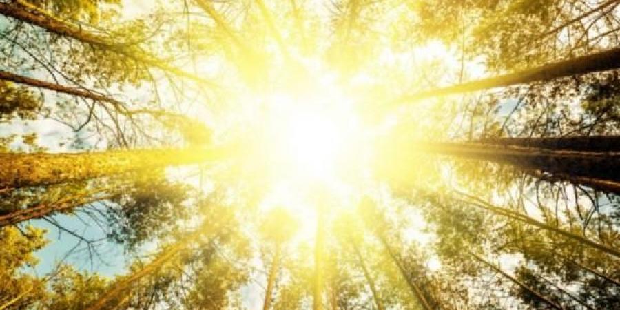الارصاد تحذر الأردنيين من الشمس الجمعة والسبت - تكنو بلس