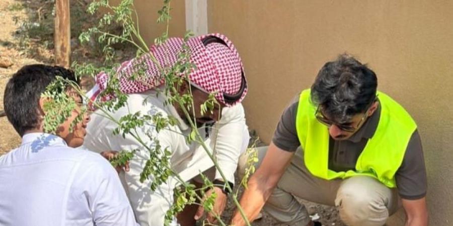 بالتفاصيل.. جامعة جدة توقع اتفاقية لتعزيز الاستدامة البيئية - تكنو بلس