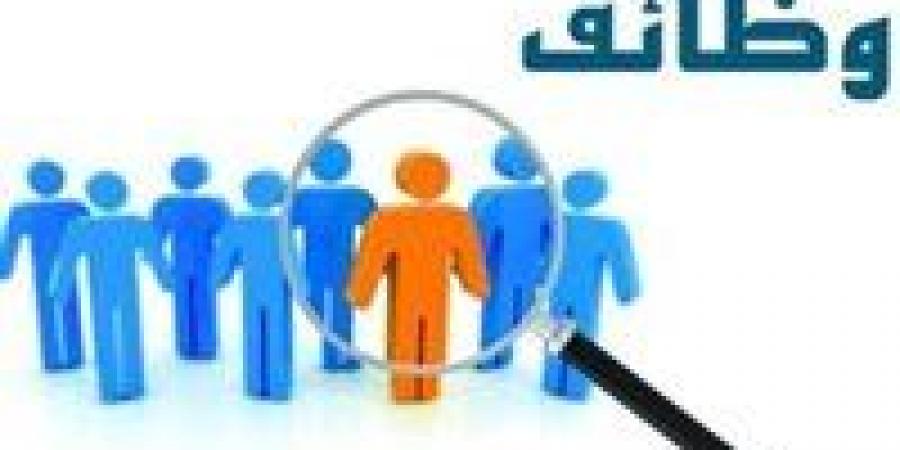 وزارة العمل تعلن عن توفير 5 وظائف بالأردن.. اعرف التفاصيل الكاملة - تكنو بلس