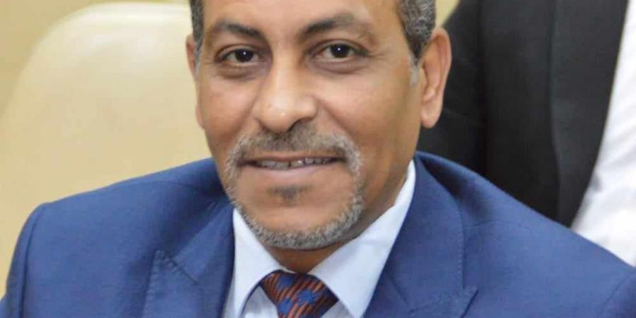 توريد 10400 طن قمح بشون وصوامع الأقصر - تكنو بلس