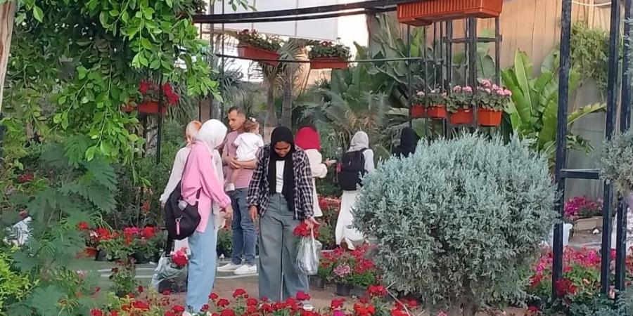 بسبب الإقبال الجماهيري.. "الزراعة" تقرر مدّ معرض "زهور الربيع" حتى نهاية مايو - تكنو بلس