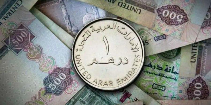 سعر الدرهم الإماراتي مقابل الجنيه اليوم الإثنين 19 مايو 2025 وفقا لآخر تحديث - تكنو بلس