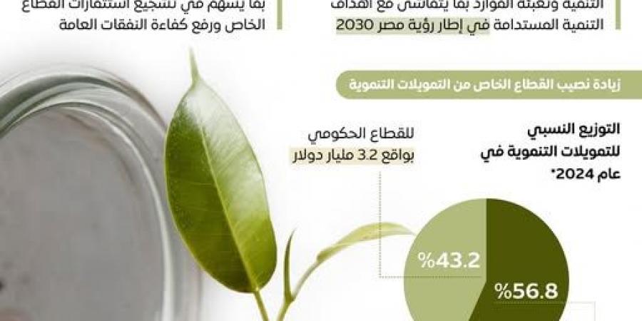 القطاع الخاص يقود التمويل التنموي في مصر باستراتيجية وطنية متكاملة - تكنو بلس