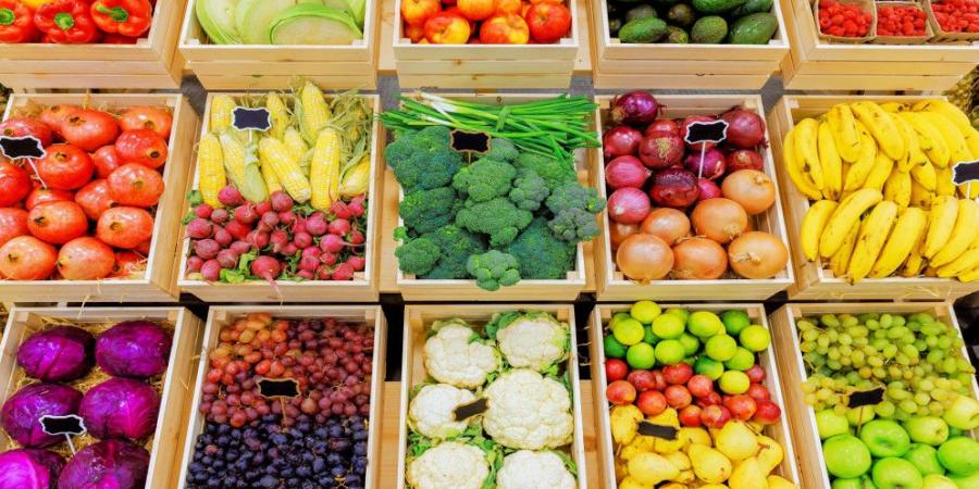 ارتفاع أسعار المنتجين الزراعيين 4.6% في الربع الأول للعام الحالي - تكنو بلس