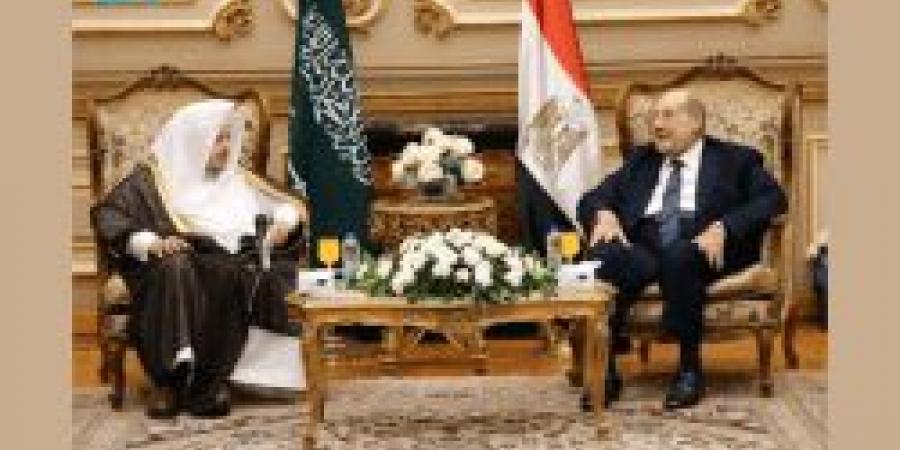 رئيس مجلس الشورى يلتقي نظيره المصري في القاهرة لبحث تعزيز التعاون البرلماني - تكنو بلس