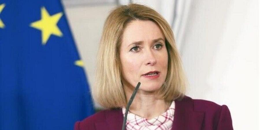 الاتحاد الأوروبي بعد إطلاق النار الإسرائيلي في الضفة الغربية: تهديد حياة الدبلوماسيين غير مقبول - تكنو بلس