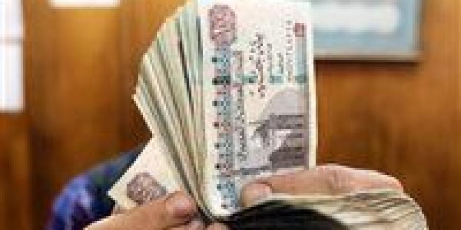 700 جنيه زيادة في المرتبات ومنحة للعاملين بشركات قطاع الأعمال والمعاشات أول يوليو.. تفاصيل قانون العلاوة والحافز الاضافي - تكنو بلس