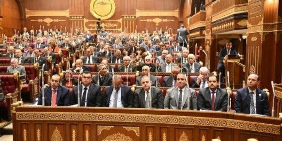 شروط الترشح الفردي في انتخابات النواب بالتعديلات الجديدة - تكنو بلس