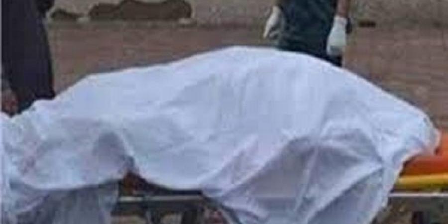 مصرع شاب إثر تلقيه طعنة فى مشاجرة باسوان - تكنو بلس