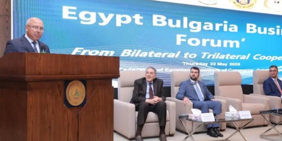 تحويل مصر إلى مركز إقليمي رائد في الصناعة والنقل واللوجستيات - تكنو بلس