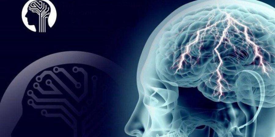 دراسة حديثة: التحفيز الكهربائي للدماغ لا يعزز تعلم الكلمات الجديدة - تكنو بلس