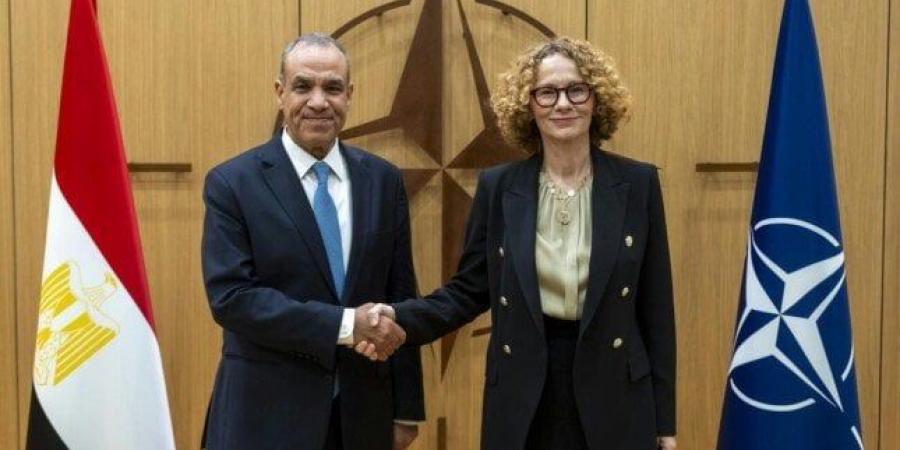 وزير الخارجية يؤكد خلال اجتماعه مع «الناتو» ضرورة استقرار سوريا وليبيا وفلسطين - تكنو بلس