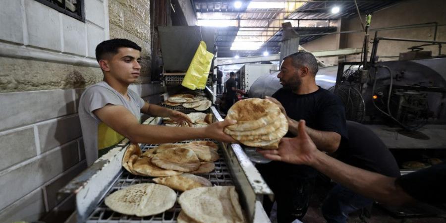 "الأغذية العالمي": عدد قليل من مخابز جنوب غزة ووسطها تستأنف إنتاج الخبز - تكنو بلس