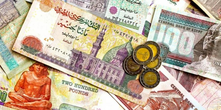 المركزي المصري يخفض سعر الفائدة للمرة الثانية خلال شهرين - تكنو بلس