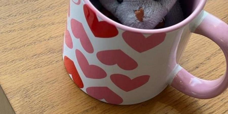 صباح الخير مع دعاء للأحباب - تكنو بلس